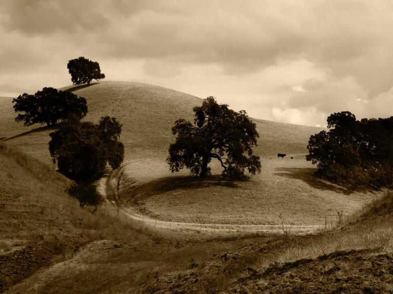 mini sudoku screenshot 3